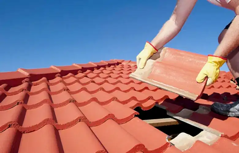 Cati Aktarma ve Yenileme