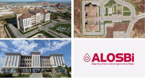 Dark Green Minimalist Company Profile Annual Report kopyasi 14 png