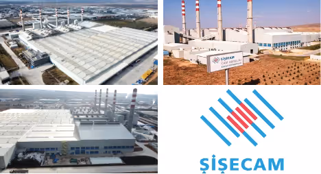 Dark Green Minimalist Company Profile Annual Report kopyasi 12 png